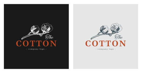 Naklejka premium Hand drawn cotton illustration. Beautiful image for logo