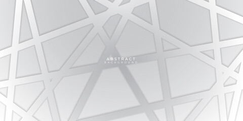Abstract 3D silver white web geometric on grey luxury background vector illustration.
