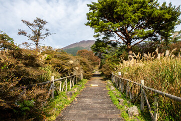 Fototapeta na wymiar Paved walkway with wooden fence between tall Maiden Grass (Miscanthus) and autumn trees and plants in Unzen Golf Course in Unzen-Amakusa National Park with Unzen mountains in the background, Japan