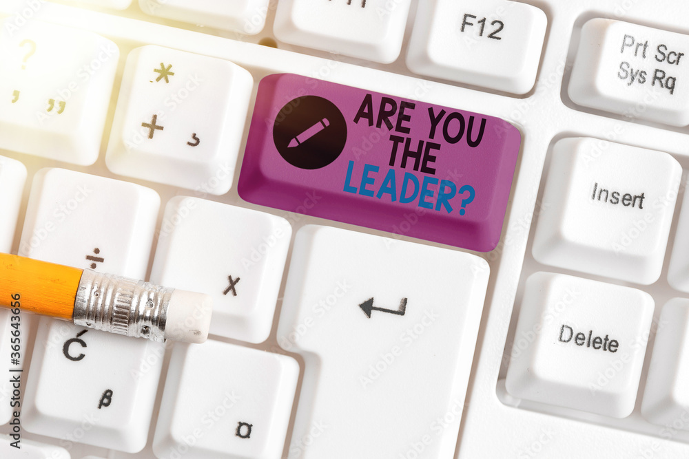 Poster conceptual hand writing showing are you the leader question. concept meaning asking for the qualific
