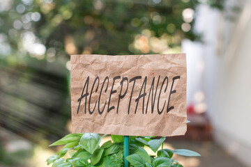 Word writing text Acceptance. Business photo showcasing when you agree to take something officially...
