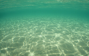             underwater sea pool caribbean sea Venezuela      
