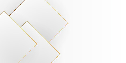 Modern abstract light silver presentation background vector. Elegant concept design with golden line.