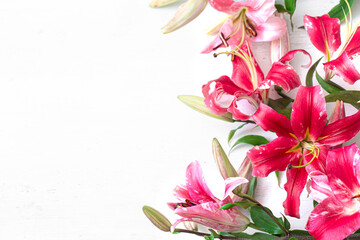 Beautiful, red Lily flowers, scattered on a white background, close-up.