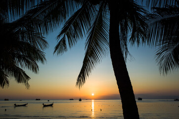 Beautiful sunset on tropical island, Koh Tao, Thailand. Palm trees silhouette