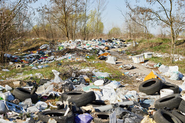 Close-up of garbage in the spring forest.