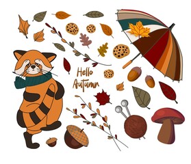 Vector set of autumn icons: red panda, falling leaves, cozy food, nuts, mushrooms and pumpkin. Scrapbook collection of autumn season elements. Bright set for harvesting. Autumn stickers