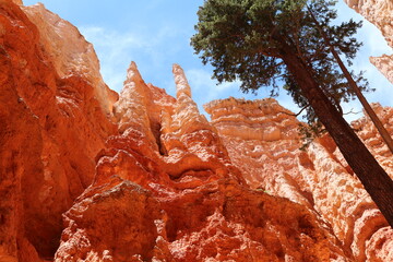Bryce Canyon, Utah