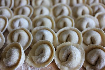 Close up of a row of homemade dumplings with meat. Process of cooking at home. Top view, selective focus