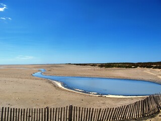 marais du vigueirat Camargue