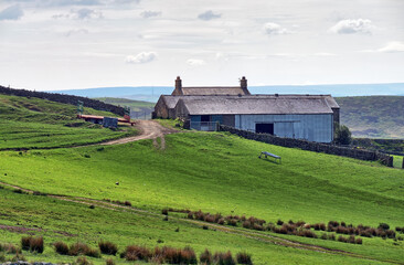 A rural farmhouse on a slope in Northumberland
