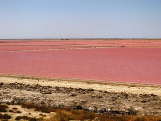 Salins de Camargue
