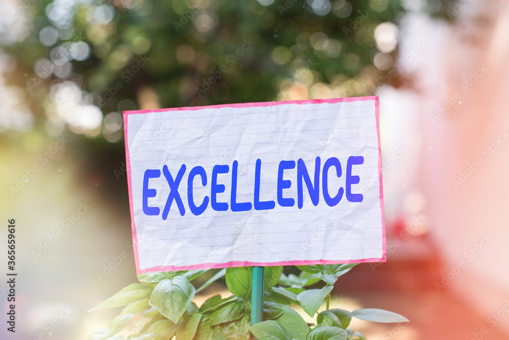 Poster conceptual hand writing showing excellence. concept meaning standard of performance of simply being 