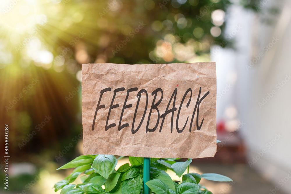 Poster word writing text feedback. business photo showcasing transmission of evaluative or corrective infor