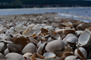 Nature and scenery from around Båstad, Skåne, Sweden