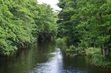 Nature and scenery from around B&aring;stad, Sk&aring;ne, Sweden