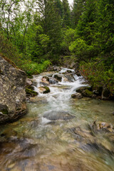 Naklejka na ściany i meble Mountain stream in green forest at spring time, slovakia tatras