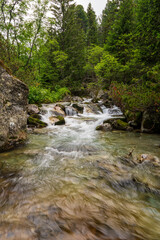 Mountain stream in green forest at spring time, slovakia tatras