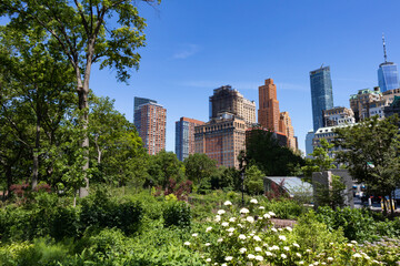Lower Manhattan Skyscrapers seen from The Battery Park with Green Plants and Trees during Summer