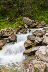 Naklejka na ściany i meble Mountain stream in green forest at spring time, slovakia tatras