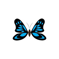 Butterfly Logo