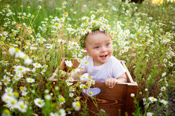 portrait of a smiling little girl of 7 months sitting on a chamomile field in a wreath in a white dress, a healthy walk in the fresh air