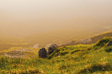 Foggy morning landscape