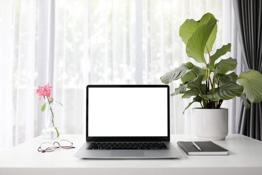 Mock-up laptop with rose and Calathea Orbifolia plant and notebook on white wooden table