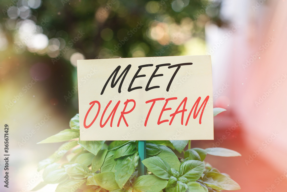 Poster handwriting text writing meet our team. conceptual photo introducing another an individual to your t