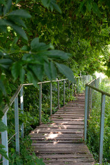 wooden stairs with iron railings along the thicket of trees and grass 