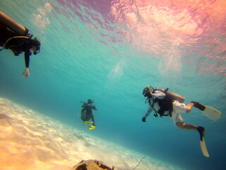 SCUBA divers in shallow water off the coast of Curacao
