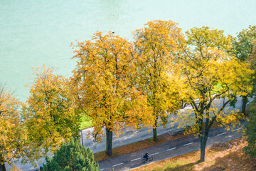 autumn trees in the park in autumn