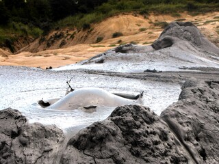 Wulkany błotne - Rumunia © Natalia