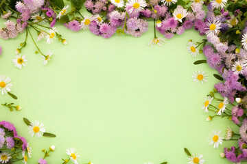 Pink flowers and chamomile on a green background. View from above. Beautiful frame. Postcard.