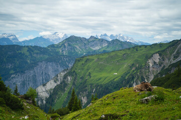 Panorama Mountains 2