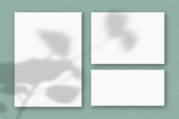 Several horizontal and vertical sheets of white textured paper on the background of a grey wall. Natural light casts shadows from an exotic plant. Flat lay, top view