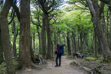 trekking W, valle Ascencio,  Parque nacional Torres del Paine,Sistema Nacional de Áreas Silvestres Protegidas del Estado de Chile.Patagonia, República de Chile,América del Sur