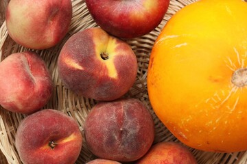 Nectarines and yellow melon on the table 