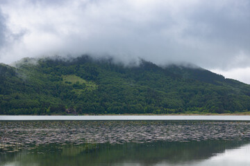 Lake and forest covered hills wtih fog