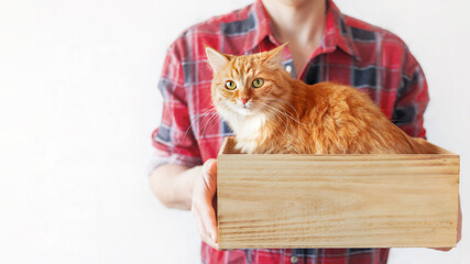 Volunteer from animal shelter holds box with stray ginger cat inside. Appeal to adopt homeless...