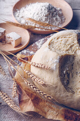 Fermented bread with spikes of wheat, flour and yeast. Traditional gastronomic concept