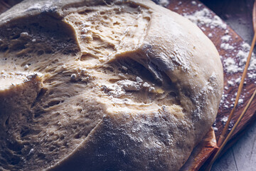 Fermented bread with spikes of wheat, flour and yeast. Traditional gastronomic concept