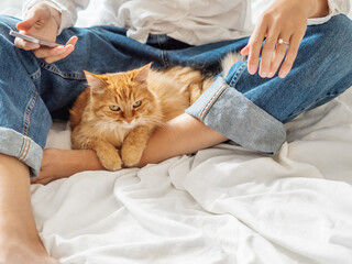 Woman in classic blue jeans sits on crumpled bed sheet with smartphone and strokes cute ginger cat. Fluffy pet on unmade bed. Lazy morning bedtime with fluffy pet in cozy home. 