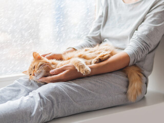 Cute ginger cat lying on woman's knees. Woman in grey pajama strokes fluffy pet. Cozy morning at home while snow is falling outside.