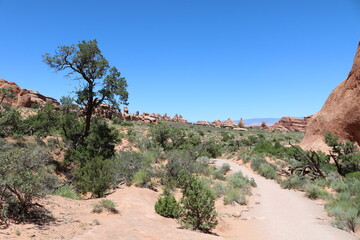 Arches National Park