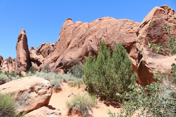 Fototapeta premium Landscape Arch Devil's Garden Trail, Arches National Park