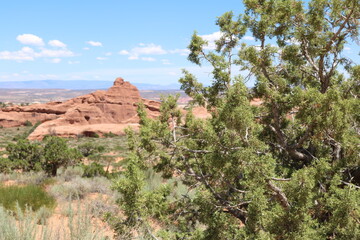 Devil's Garden Trail, Arches National Park
