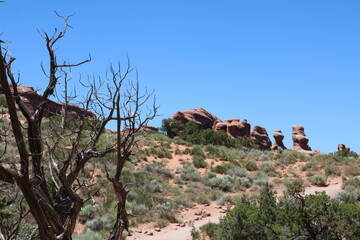 Devil's Garden Trail, Arches National Park