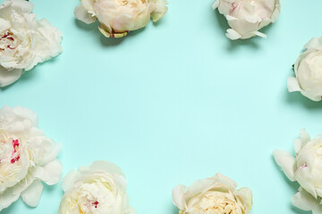 Beautiful white peonies on turquoise background, flat lay