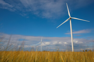 Beautiful view of field with wind turbines. Alternative energy source